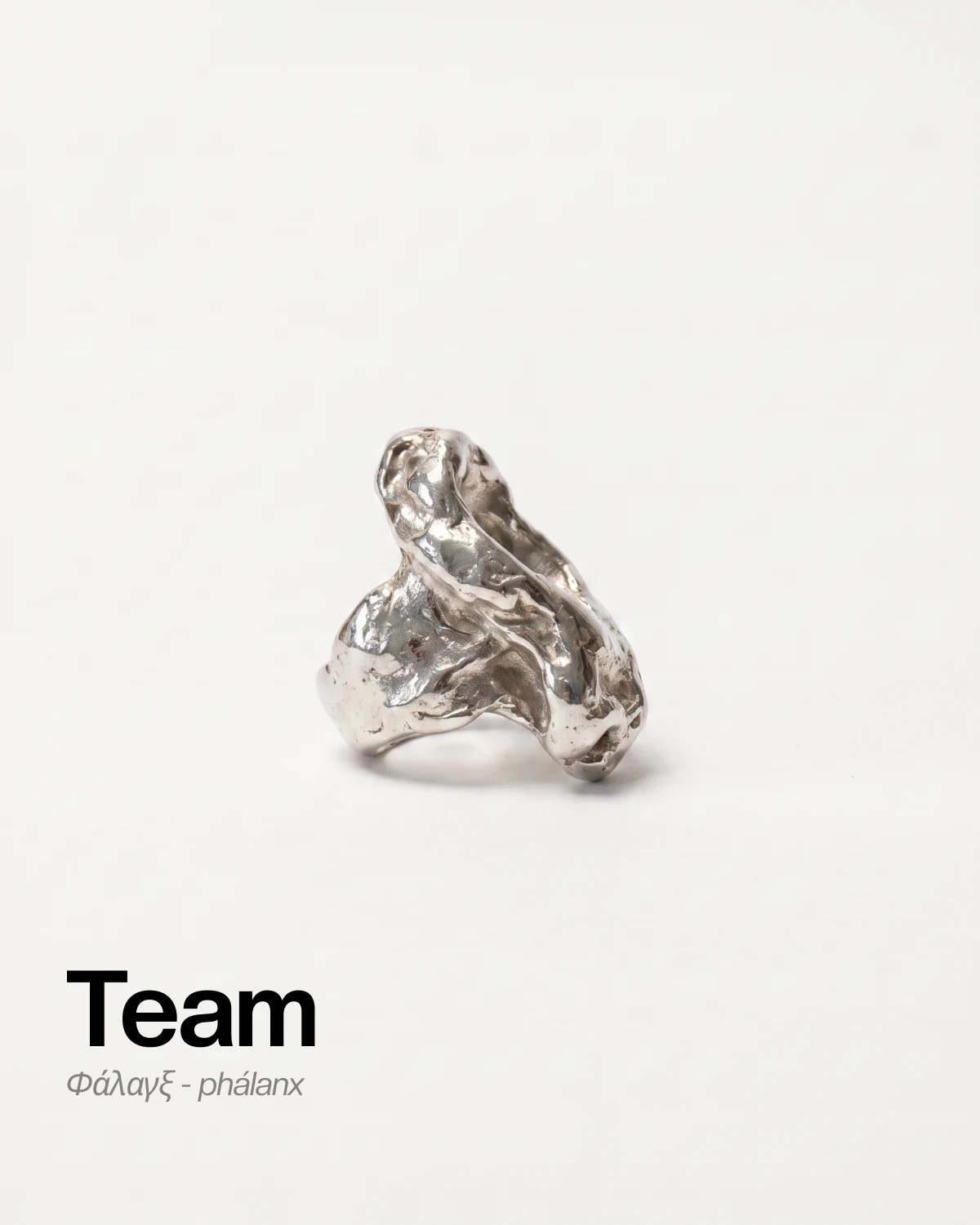 Silver sculpture, the emblem of the team